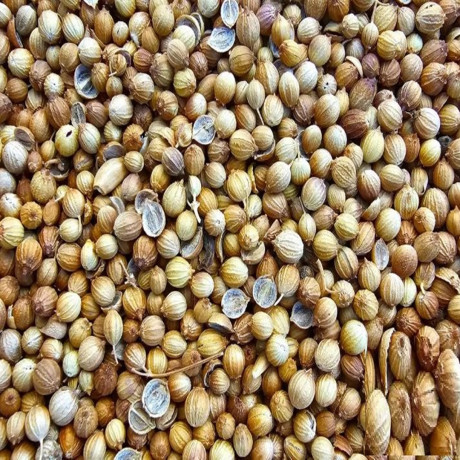 Kişniş Tohumu Tane 100 Gr