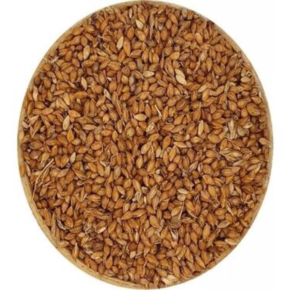 Süpürge Tohumu 250 Gr