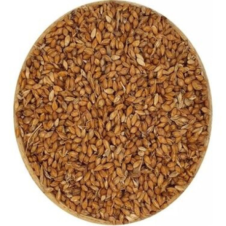 Süpürge Tohumu 250 Gr