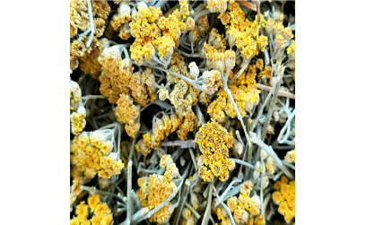 Civanperçemi Faydaları ve Kullanım Şekilleri