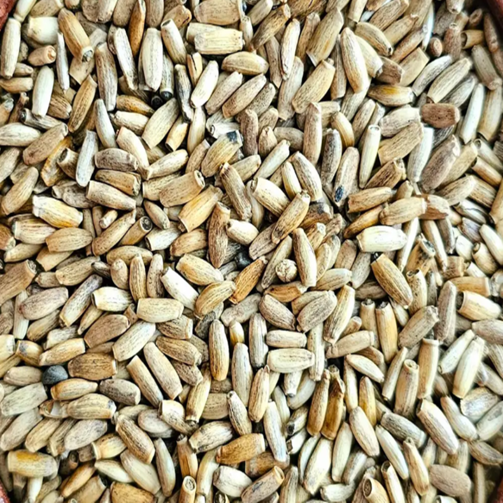 Devedikeni Tohumu Tane 100 Gr