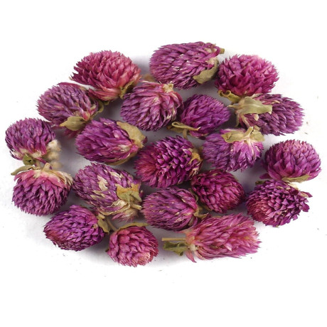 Kızıl Yonca 50 Gr