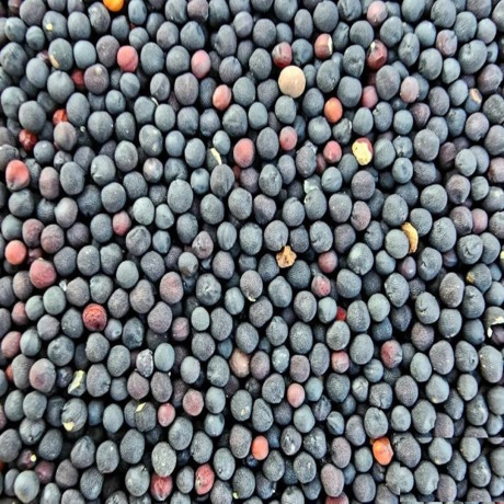 Siyah Hardal Tohumu 100 Gr