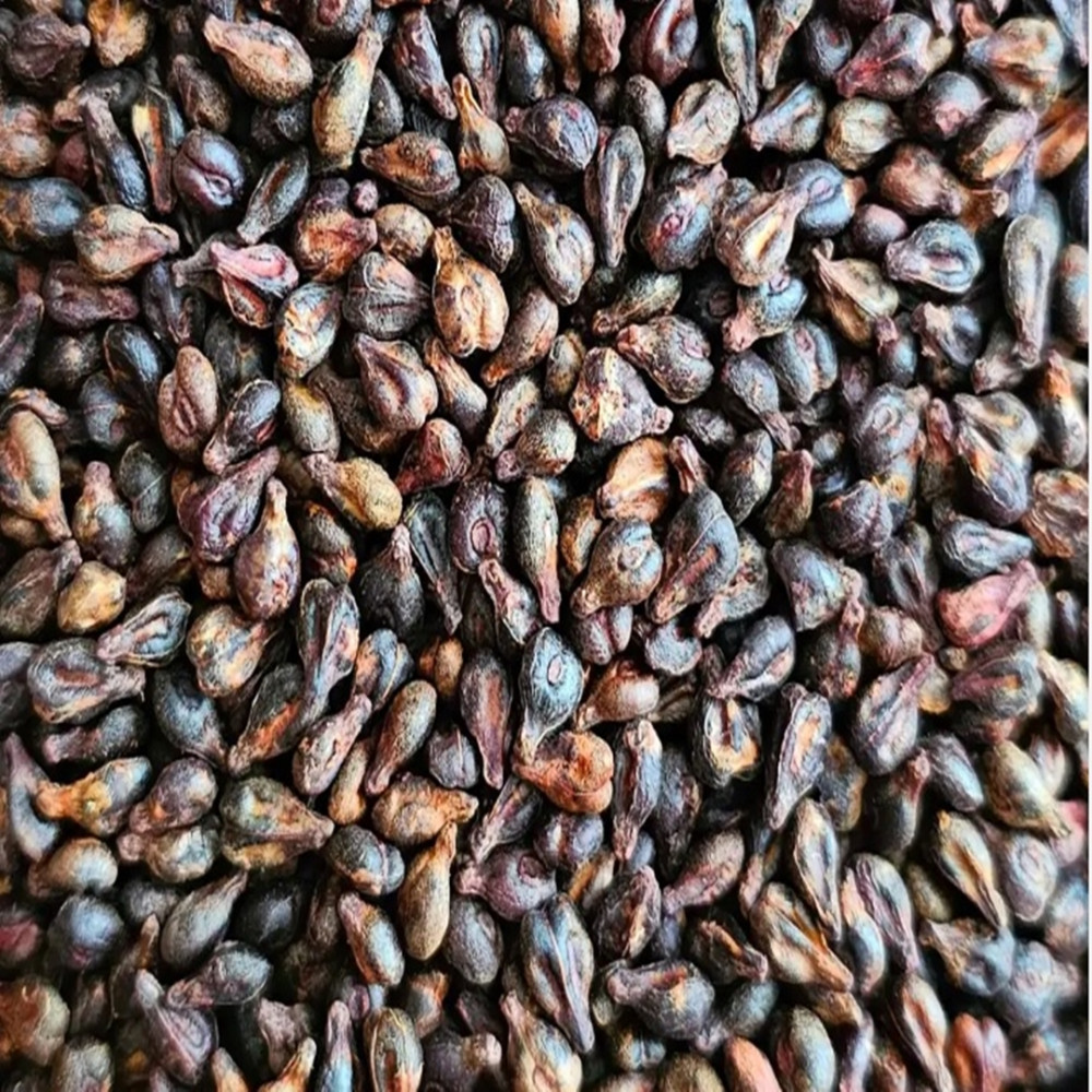 Siyah Üzüm Çekirdeği Tane 100 Gr