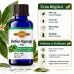 Defne Yaprağı Yağı 20 ml