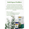 Kekik Yağı 20 ml