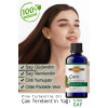 Çam Terebentin Yağı 50 ml